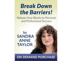 Break Down the Barriers! Release Your Blocks to Personal and Professional Success