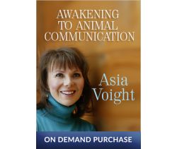 Awakening to Animal Communication