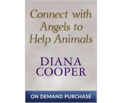 Connect with Angels to Help Animals