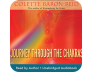 Journey Through the Chakras view 4