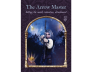 Wisdom of the Hidden Realms Oracle Cards view 4