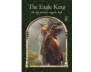 Wisdom of the Hidden Realms Oracle Cards view 6