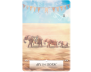 Wisdom of the Oracle Divination Cards view 7