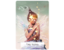 Wisdom of the Oracle Divination Cards view 6
