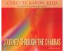 Journey Through the Chakras view 1
