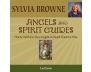 Angels And Spirit Guides view 2