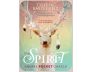 The Spirit Animal Pocket Oracle view 1