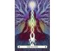 The Witch's Way Home Oracle view 2
