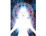 Angelic Activations Oracle view 9