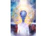 Angelic Activations Oracle view 5