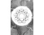 The Enneagram Type 9 Journal view 8