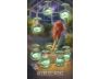 Galactic Star Tarot view 5