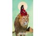 The Muse Tarot view 6