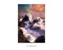 Sacred Destiny Oracle view 6