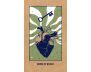 Transient Light Tarot view 7